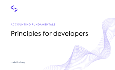 Accounting fundamentals: principles for developers